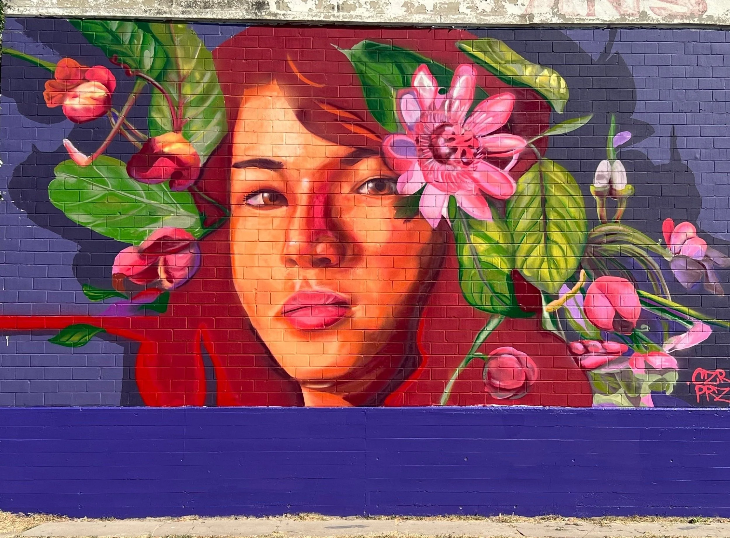 Murals by Czr Prz (Caesar Perez) | International Muralist Based in
